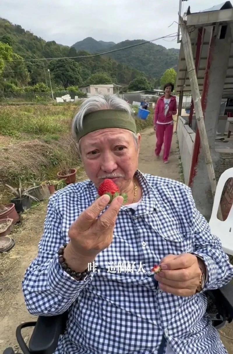 洪金寶坐輪椅與家人去採草莓。.jpg