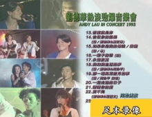 刘德华热浪劲爆演唱会