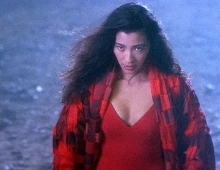 东方三侠.The.Heroic.Trio.1993.国粤双语中英双字.1080P.BluRay[23.4G]