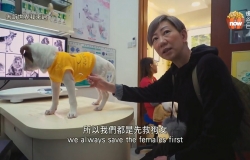 [磁力][紀錄片]【告訴世界我來過】爆谷台 720P