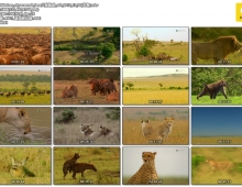 2010【大發雌威】粤英中字 1-3集 720P MKV