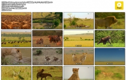 2010【大發雌威】粤英中字 1-3集 720P MKV