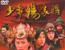 【少年杨家将】dvd 粵国