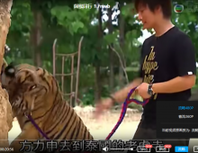 【向世界出发1-3辑】