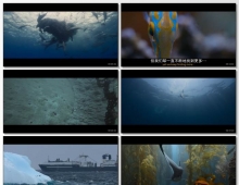 [纪录片] 大卫·爱登堡：海洋.2025.英语中英双字.1080P[2.98G]