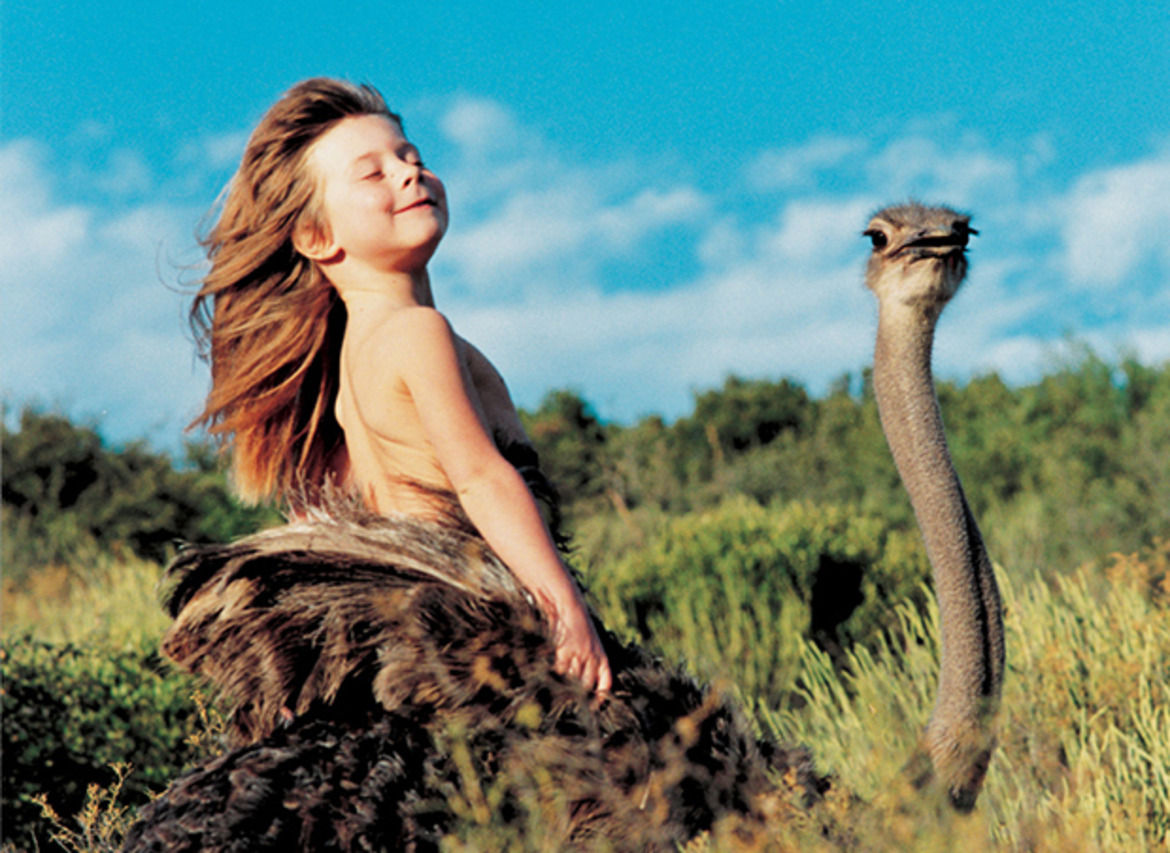 hero_Tippi_Degre5.jpg