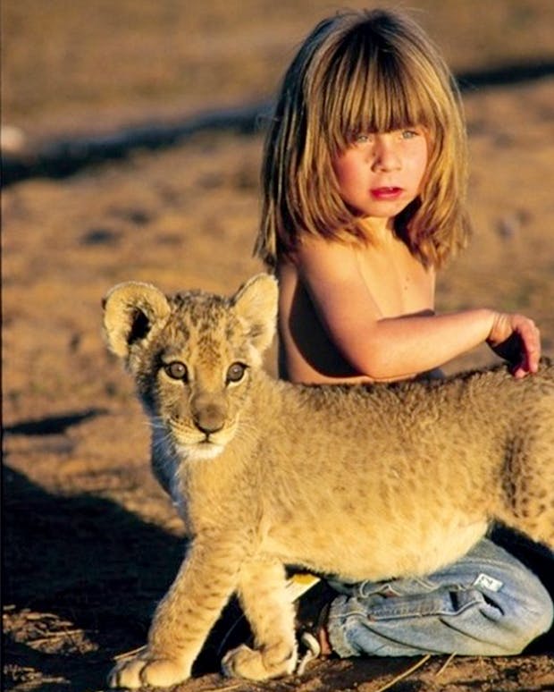 Tippi_Degre8.jpg