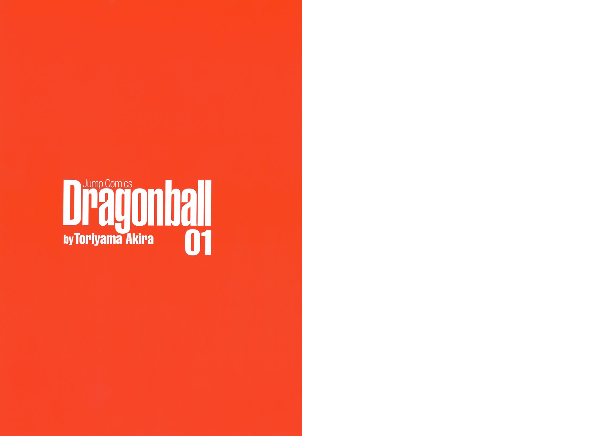DragonBall01_008.jpg