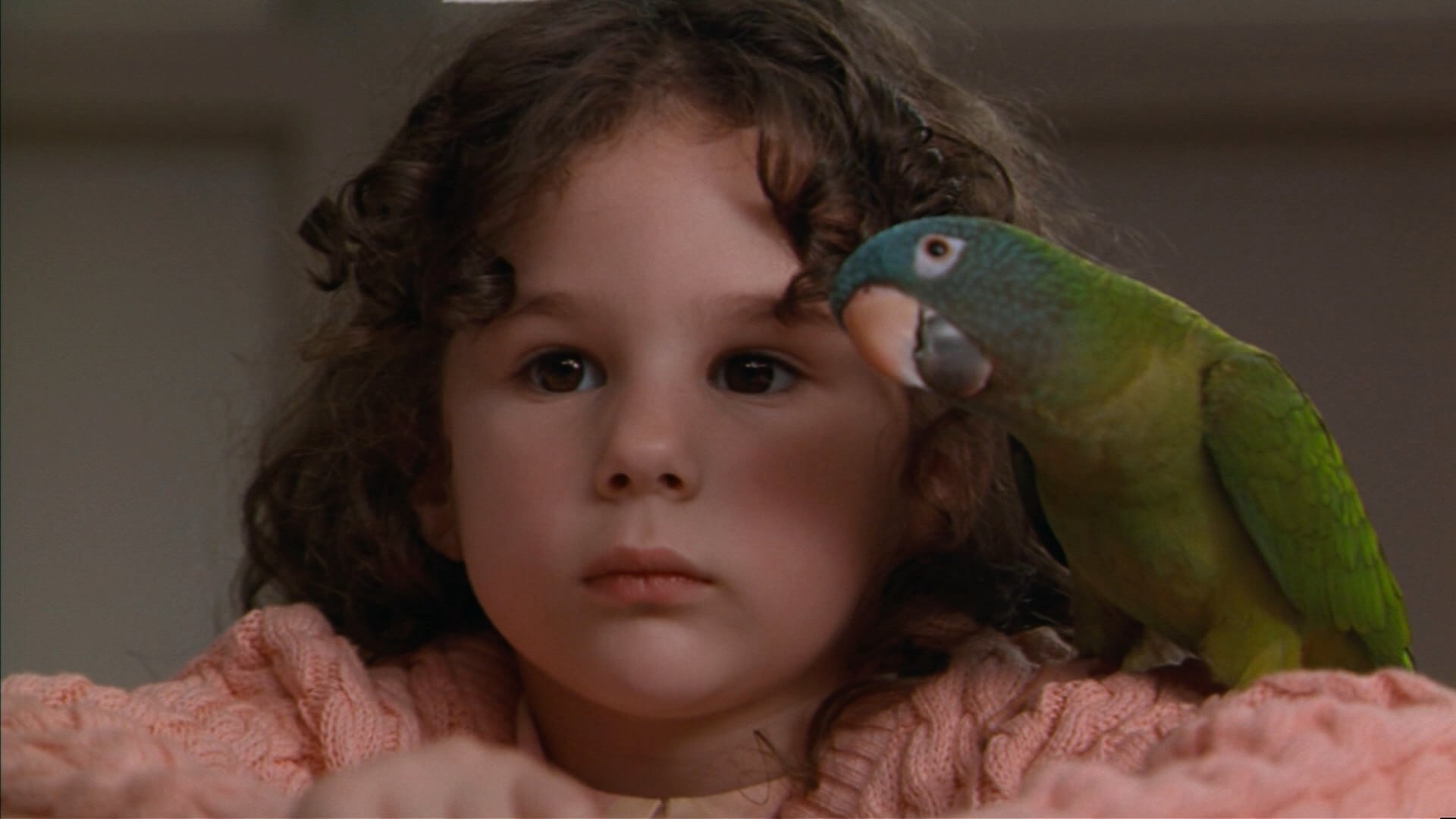 【阿鸚愛說笑】粵語 1080P