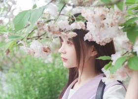 樱花散落时